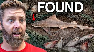 6 Extinct Animals Found in 2025