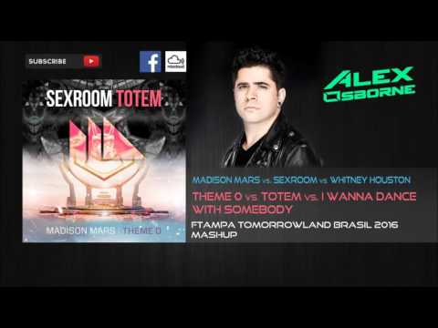 Totem vs Theme O vs I Wanna Dance With Somebody (FTampa Tomorrowland Brasil 2016 Mashup)