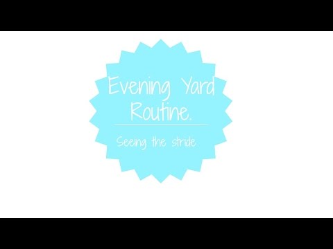 Afterschool/Evening Yard Routine.|| seeing the stride ||