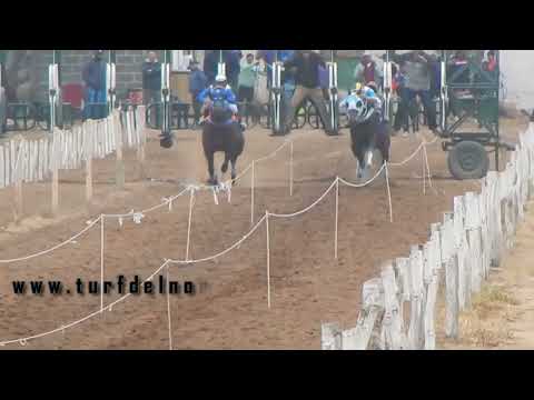 Aguara, Quines (26-6-22)