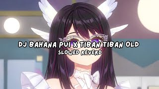 Download lagu DJ BAHANA PUI X TIBAN TIBAN OLD SLOWED REVER mp3