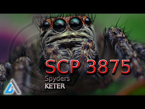 SCP 3875 - Spyders - KETER