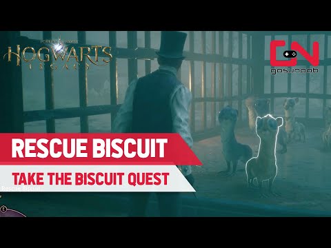 How to Rescue Biscuit in Hogwarts Legacy - Take the Biscuit Quest