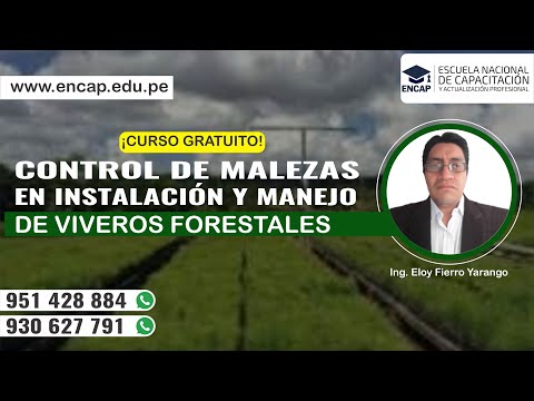 CURSO: CONTROL DE MALEZAS EN INSTALACIÓN Y MANEJO DE VIVEROS FORESTALES - 2025