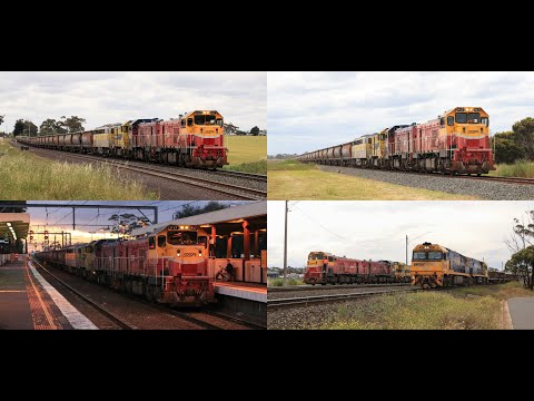 9198 SSR Grain from Manangatang in Daylight - P17, P14, T363 & S317 - 19/11/2021