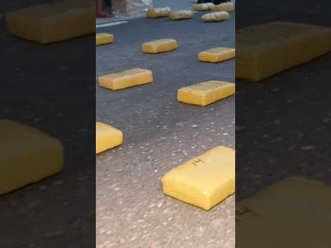 La Policía de Tucumán secuestra más de 120 kilos de marihuana en 7 de Abril