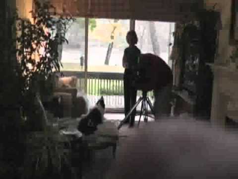 My reincarnated pet Friend, the Dog  w my "B "on his Bottom CBS shoot l Brent Atwater