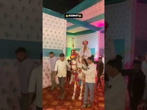 Horse lover🐴❤️ #horselover #horsefan #horsephotograpy #horsegirl #kismat3341 #3341