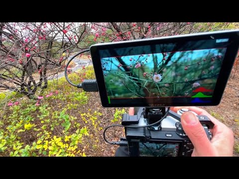 Sony A6700 – Cinematic Vision in Every Frame 🎬 @TechBurner 