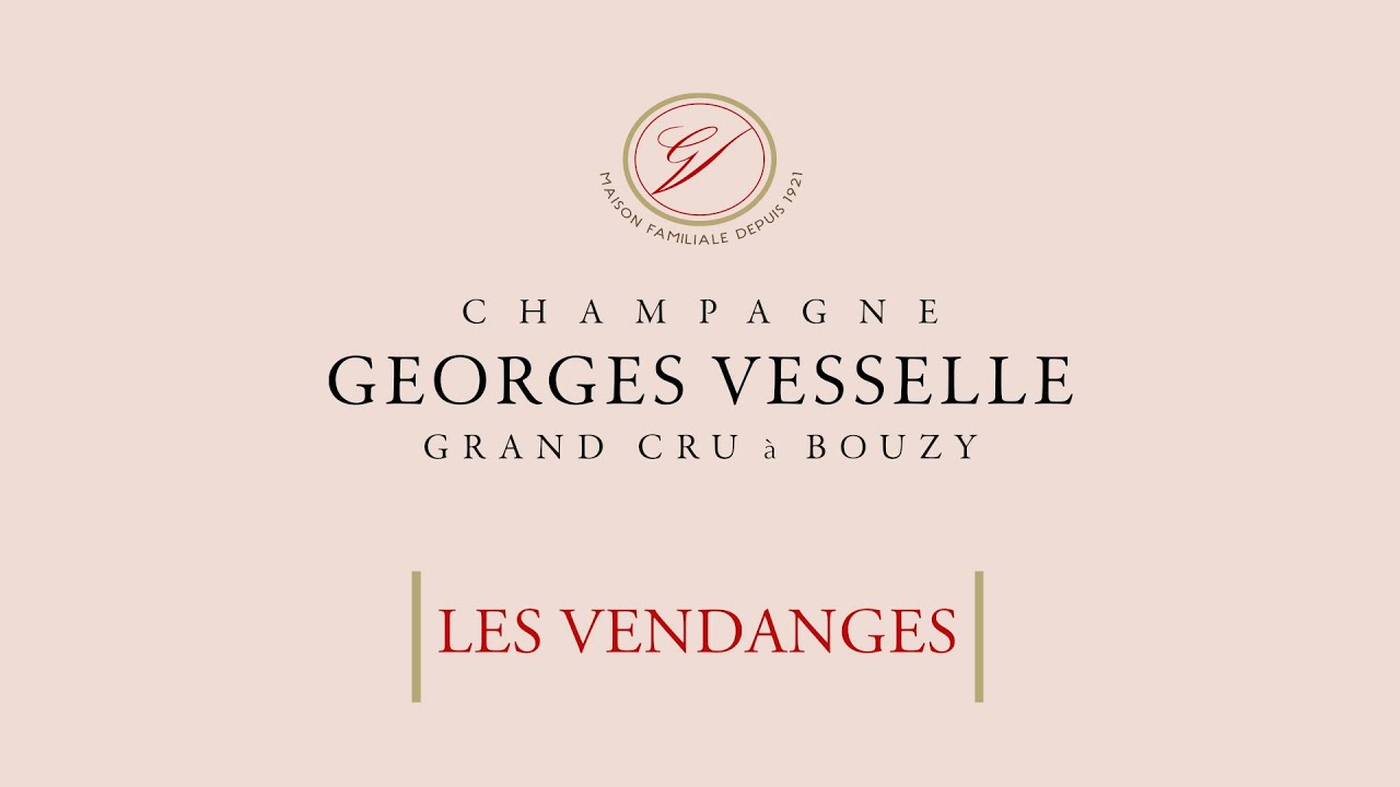 Les vendanges en vidéo Champagne Georges Vesselle