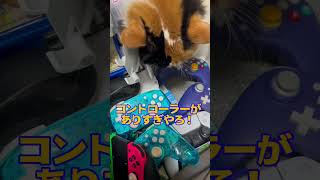 あけおめ！Switchのコントローラーあり過ぎやろ！#shorts #switch #あけおめ #コントローラー