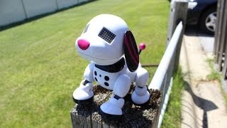 Zoomer Zuppies Review the Interactive Robotic Dog (SCARLET)