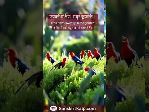Sanskrit Story - 26 | Sanskrit Kalp