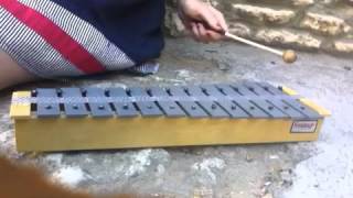 Everybody Knows (except you) The Divine Comedy versión glockenspiel