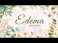 ❋ Edema Treatment ~ Reduce Excess Fluid Retention | Healing Rife Frequency ~ Rain Sounds