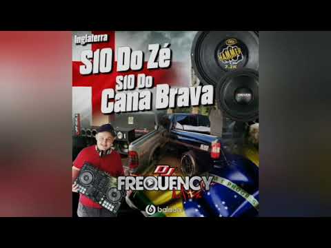 S10 DO ZÉ & S10 CANA BRAVA - DJ FREQUENCY MIX