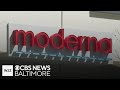 New Moderna COVID 19 Vaccine Approved By FDA For Adults 65 And Older