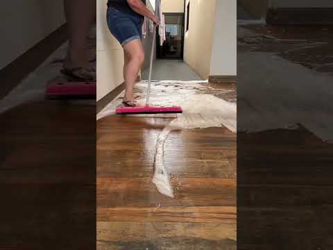 ? Quando a chuva some e a poeira resolve morar no quintal…? Aí não tem jeito, é hora da faxina