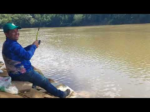 Pescaria  no areinhão Rio  tibagi  telemaco borba PR dia 04/12/2025