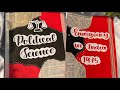 Emergency In India 1975 Political Science Project For Class 12th CBSE