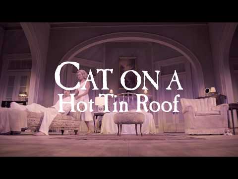 Cat on a Hot Tin Roof Trailer