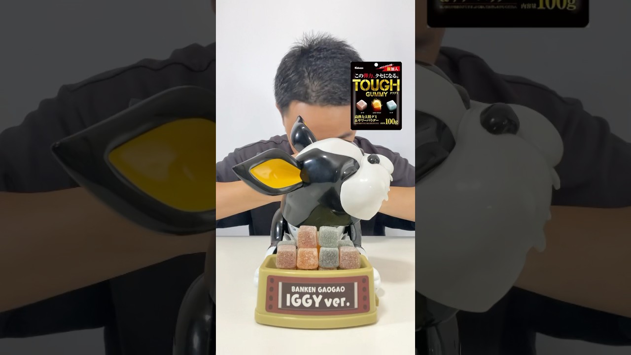 番犬ガオガオチャレンジ【silent challenge】#shorts