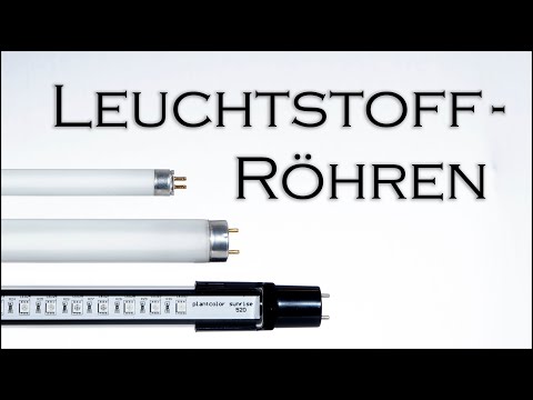 Leuchtstoffröhren im Aquarium - Dinosaurier der Beleuchtung | Aquado-Zoo Dortmund