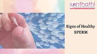 Signs of Healthy Sperm