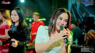 Download lagu CAMELIA - CEMARA BIRU - ALL ARTIS - WEDDING WISNU & PUTRI - BANYUMANIS DONOROJO mp3