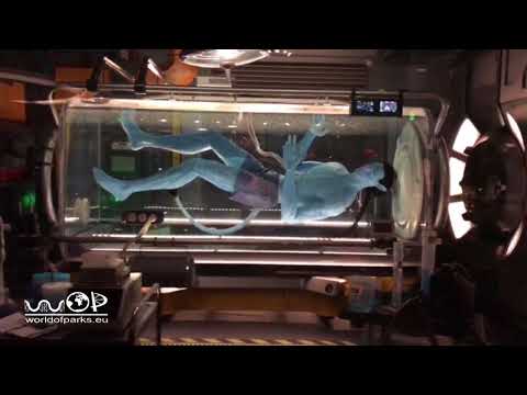 The World of Avatar at Walt Disney World - Pandora Avatar Land Boat Ride Na'vi River Journey 2017