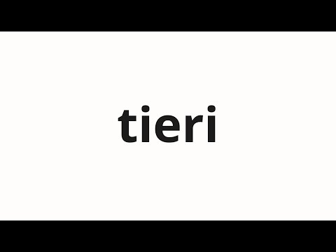 How to pronounce tieri | 티에리 (Thierry in Korean)