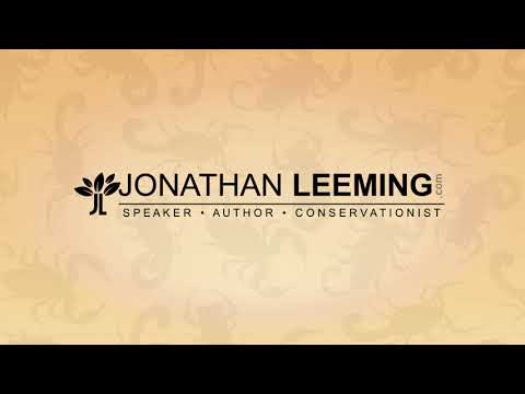 Essential Scorpion Sting Response written by Jonathan Leeming