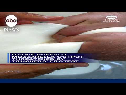 Italy’s buffalo mozzarella output threatened by truckers’ protest