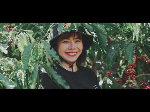 hoi-tho-ca-phe-ban-me-le-hoi-ca-phe-buon-ma-thuot-2023