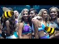The Honey Bees 2019 OPEN AUDITION Recap