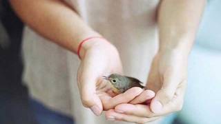 Yuna ~ Deeper conversation • [lyrics]