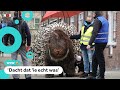 Reusachtig stekelvarken loopt door Rotterdam