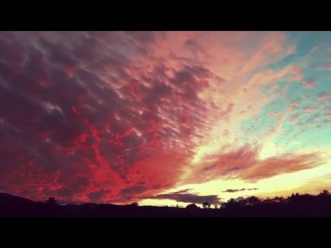 NZCA Lines - Dark Horizon