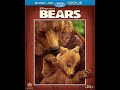 Bears 2014 DVD Overview