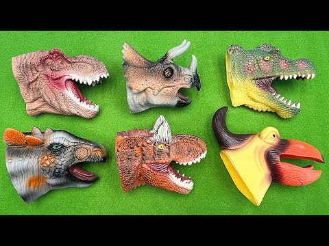 6 Dinosaur Heads Disappeared | Finding T-Rex Triceratops Stegosaurus 공룡머리 찾기 티라노사우루스 스테고사우루스