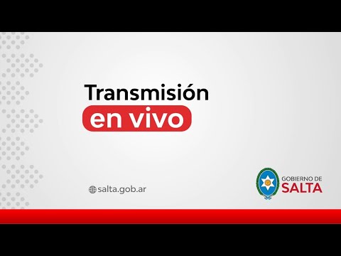 Salta reglamentó el servicio de transporte de taxis y remises para el interior