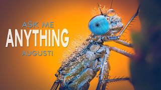 Ask me Anything - August!