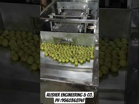 Ali Sher Machine Alisher Engeneering & Co. - Manufacturer of Processing Machine from New ...
