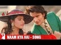 Naam Kya Hai Song Yeh Dillagi Saif Ali Khan Kajol Lata Mangeshkar Kumar Sanu Sameer