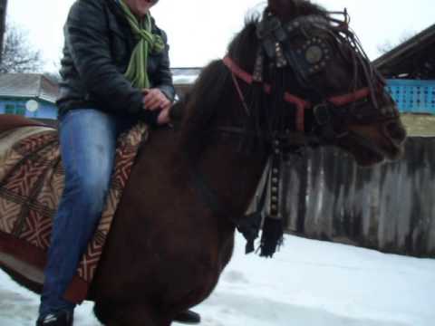 2. Satu Nou 19.01.2013