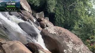 Download lagu Sawah dan sungai yang indah | suara alam mp3