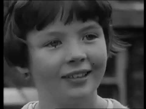 World in Action The Born Losers (1967)