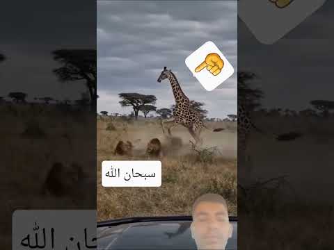 الثقه #بلله #الثقة_بالنفس #اكسبلور