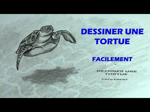 Comment dessiner une tortue de mer étape par étape