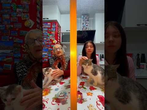 ЛАЙК, ❤️ если ЛЮБИТЕ КОТИКОВ! 😻